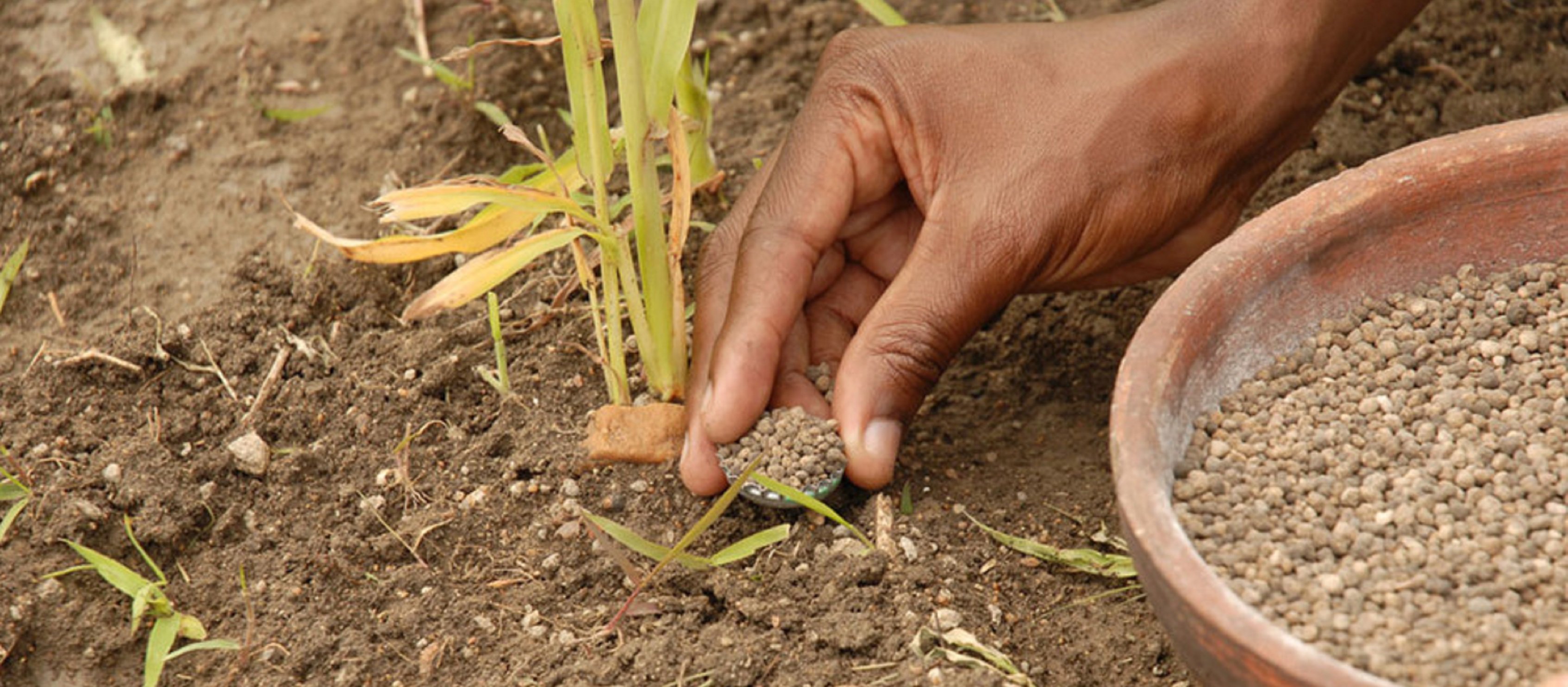 WAFA FERTILIZER worldsoilday Blog